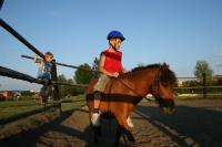 Koně - Bubla city Ranch